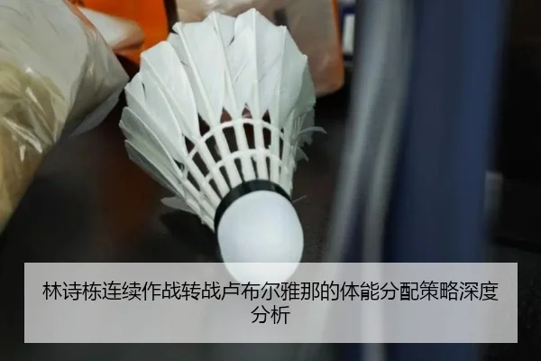 lin-shi-dong-lian-xu-zuo-zhan-zhuan-zhan-lu-bu-er-ya-na-de-ti-neng-fen-pei-ce-lve-shen-du-fen-xi-2-771.jpg